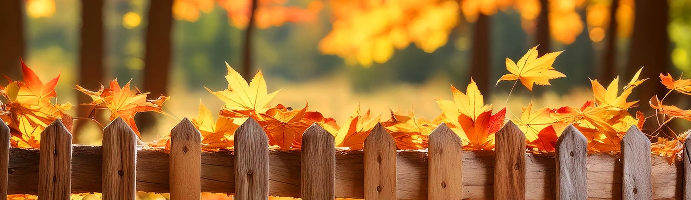 HERBST-RABATT