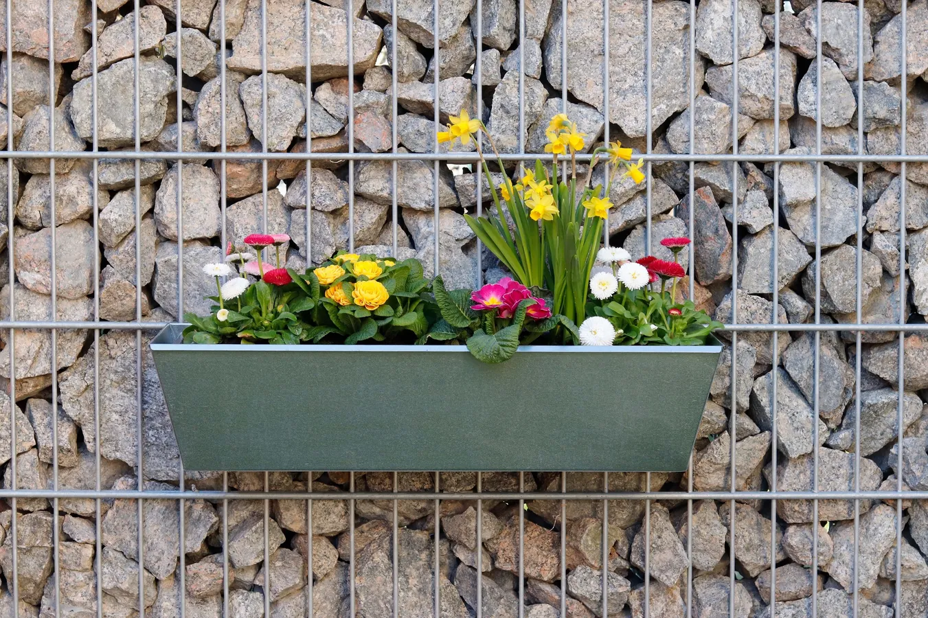 Blumenkasten für Doppelstab-Zaunelemente, Länge 60cm, verzinkt