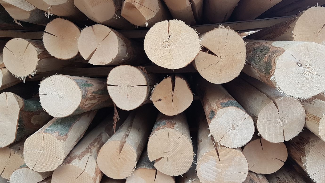 Holzpfahl Länge 120cm für Zaunhöhen 50cm und 90cm