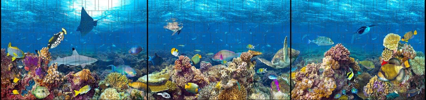 Sichtschutzstreifen Fische (7,5 Meter Panorama)