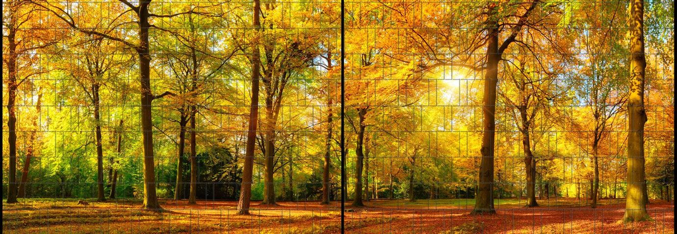 Sichtschutzstreifen Herbst (5 Meter Panorama)