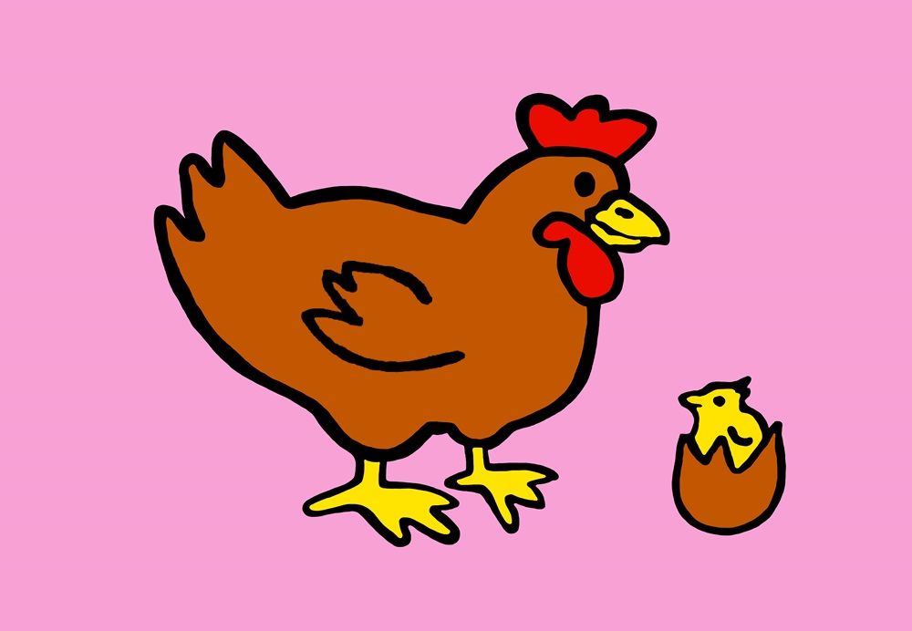 Sichtschutzstreifen Tiermotiv Huhn (Rolle)