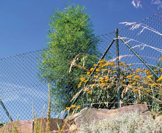 25 Meter Maschendrahtzaun, Höhe 200cm mit Boden-Einschlaghülsen, Farbe grün -Komplettset-