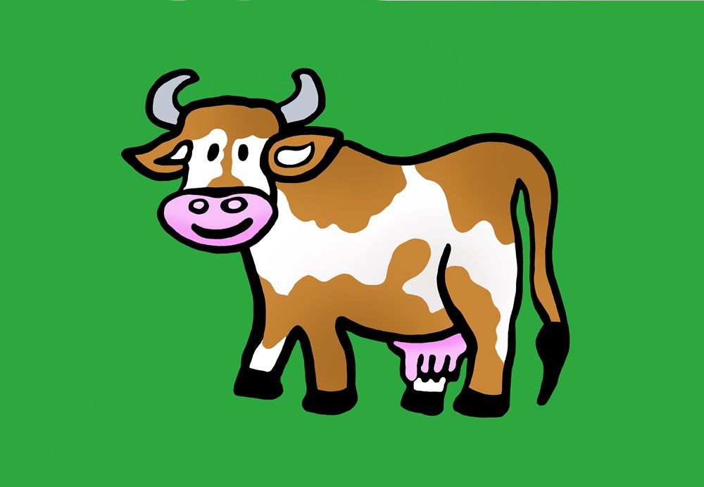 Sichtschutzstreifen Tiermotiv Kuh (Rolle)