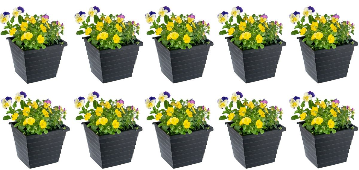 Blumenkästen für Doppelstab-Zaunelemente, Länge 19cm (10er-Set), Kunststoff, schwarz