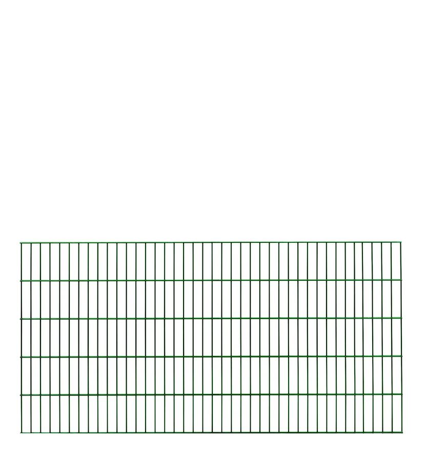 DS 200 Doppelstab-Zaunelement Höhe 100cm