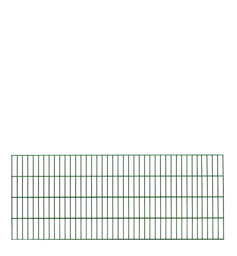 DS 200 Doppelstab-Zaunelement Höhe 80cm