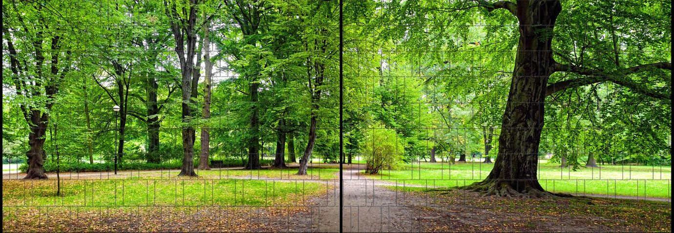 Sichtschutzstreifen Park (5 Meter Panorama)