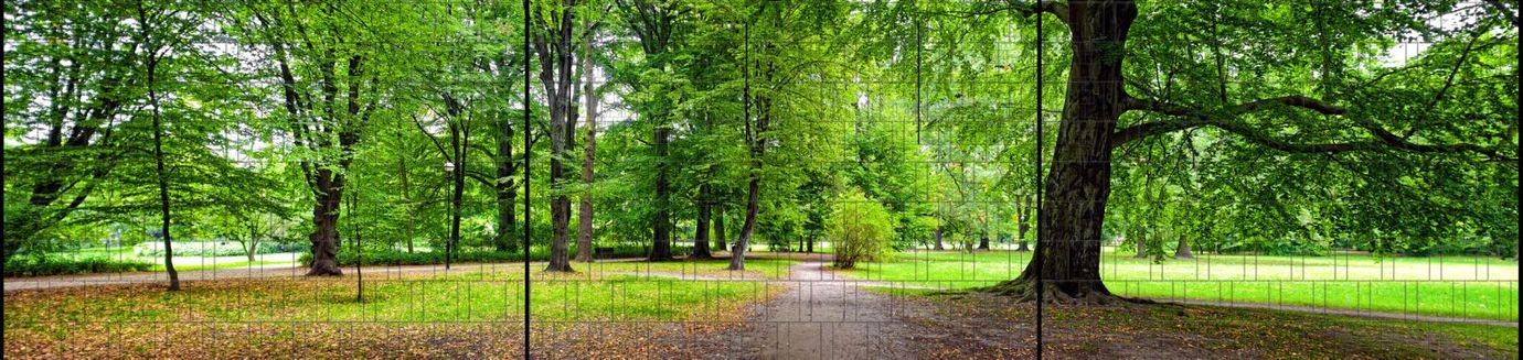 Sichtschutzstreifen Park-Panorama (7,5 Meter Panorama)