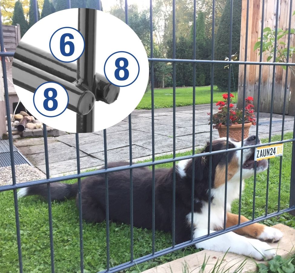 Doppelstabmattenzaun DS Secure 2.5 868 – Bild 1