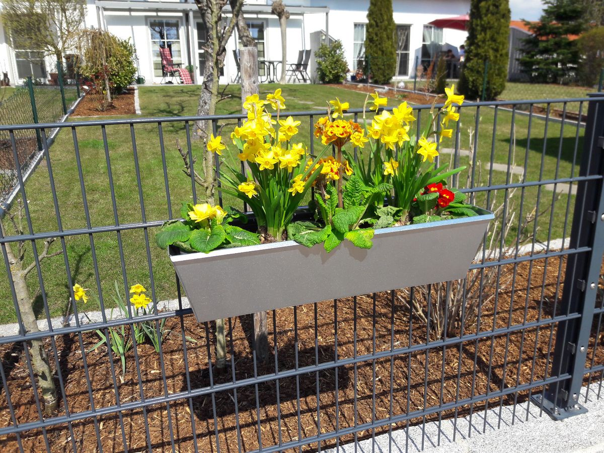 Blumenkasten für Doppelstab-Zaunelemente, Länge 60cm, verzinkt