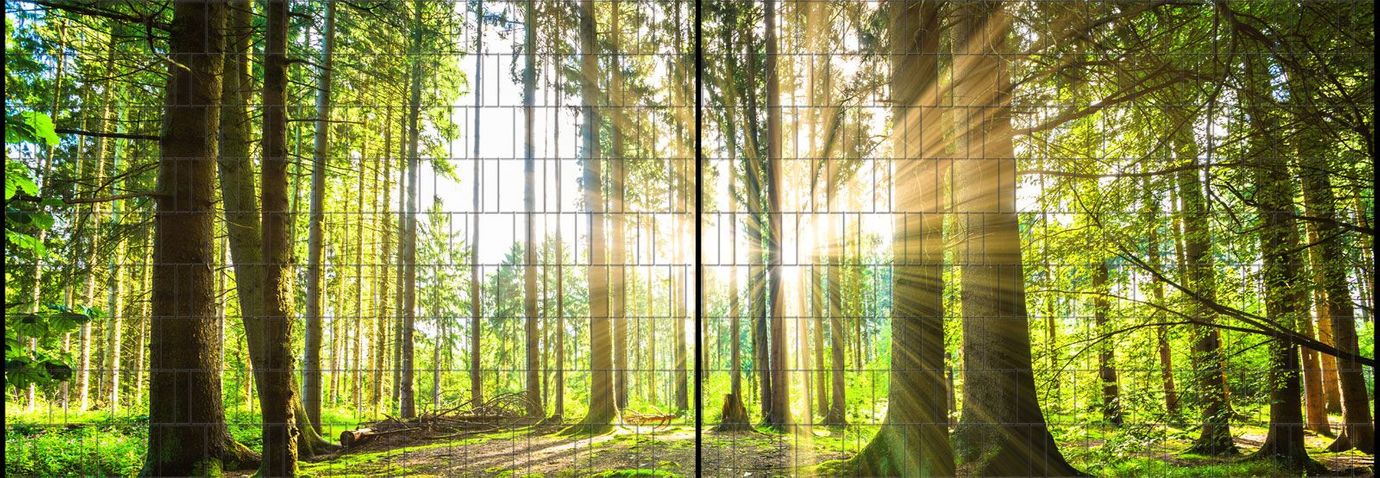 Sichtschutzstreifen Wald (5 Meter Panorama)