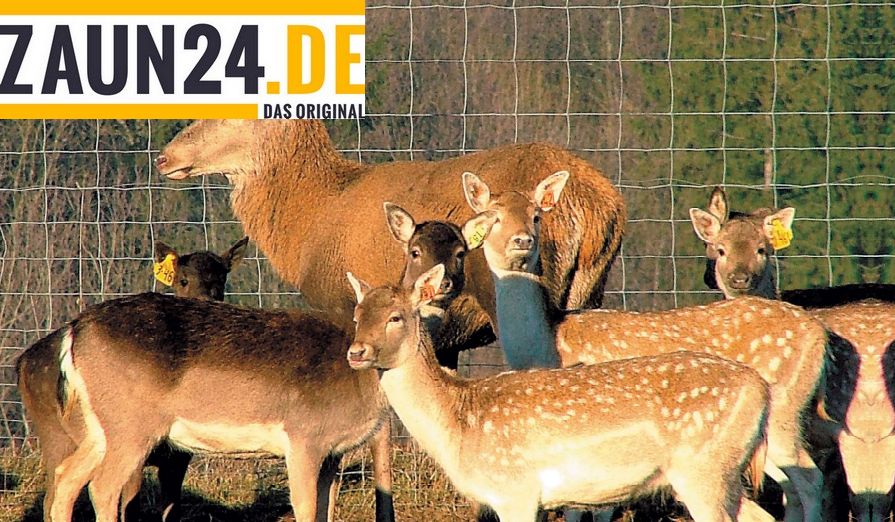 Wildzaun Rolle Schwer 120/9/15 Zinkalu 75 Meter Knotengeflecht 