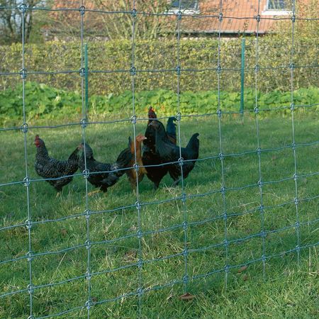 Wildzaun 180 50m Wildzaun Forstzaun Knotengeflecht Drahtzaun 100/15/15 Schwere Jägerzaun Holz