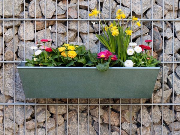Blumenkästen