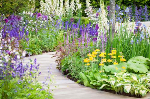 Gabionen werten jeden Garten auf.