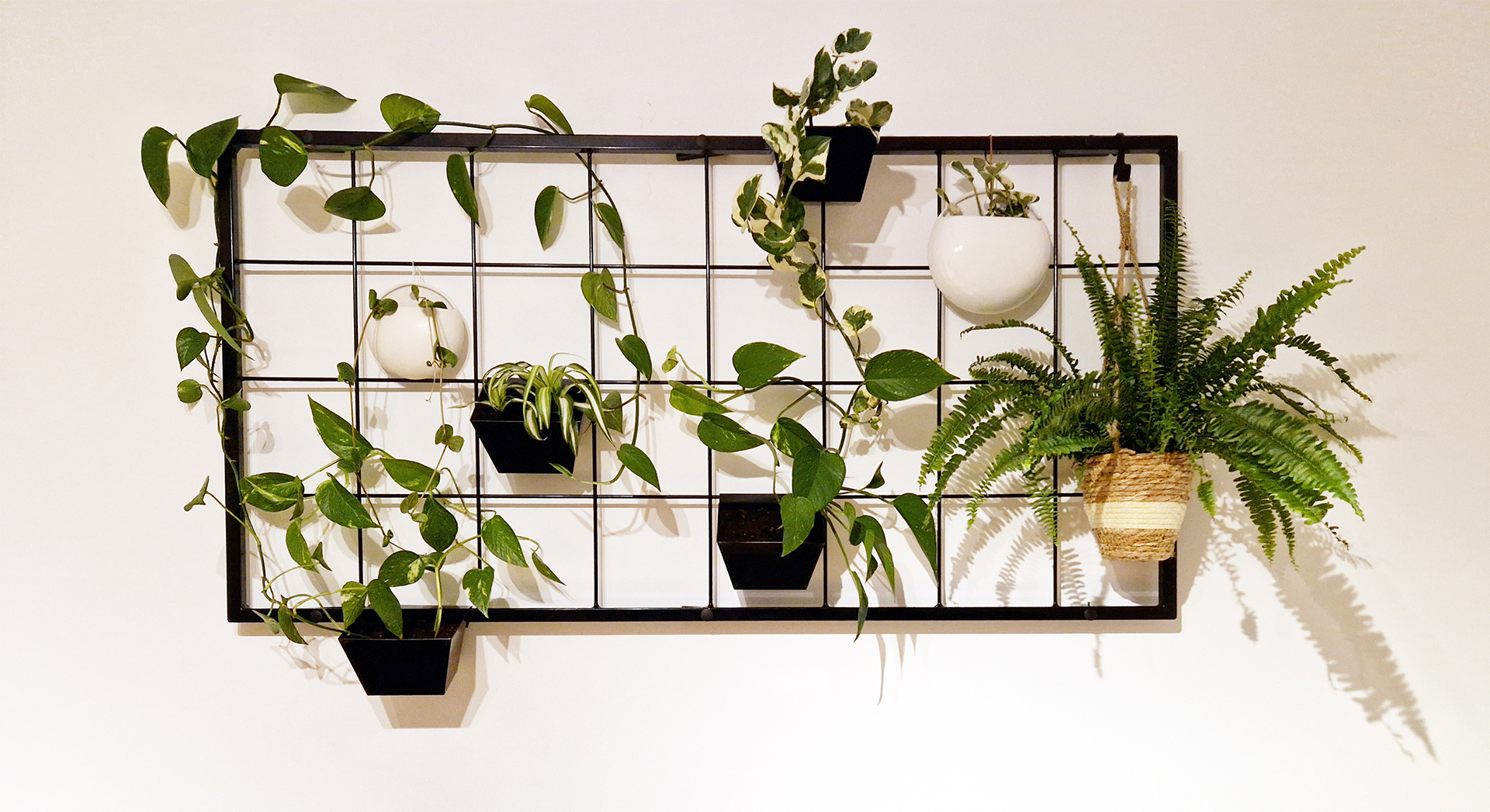 Blumenkästen und Pflanzenwände bei ZAUN24.de online kaufen!