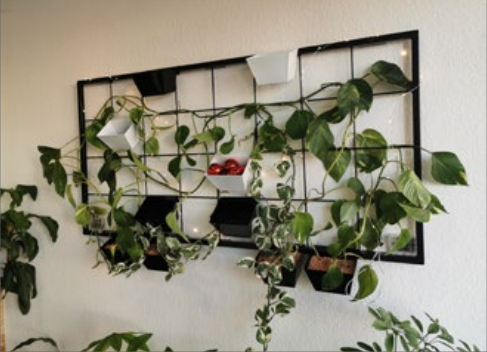 Blumenkästen und Pflanzenwände bei ZAUN24.de online kaufen!