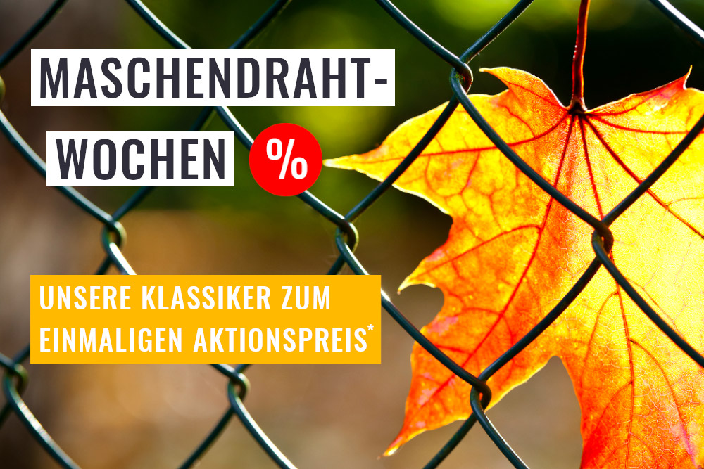 Maschendraht mit Ahornblatt